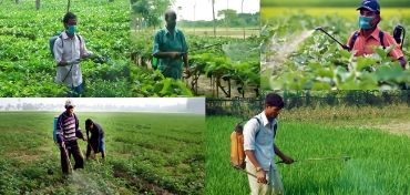 কীটনাশক বিভাগের ছবি