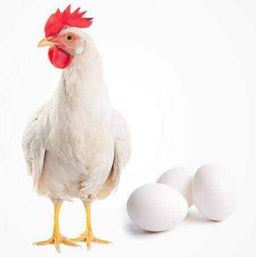 লেয়ার সাদা বিভাগের ছবি