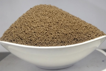 নার্সারি বিভাগের ছবি