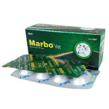 মারবো ভেট এর ছবি