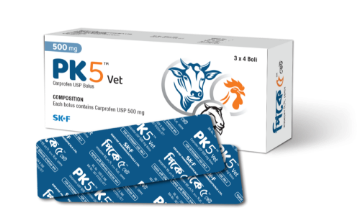 পিকে৫ ভেট এর ছবি