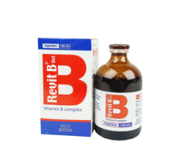 Revit B 100 ml Injection