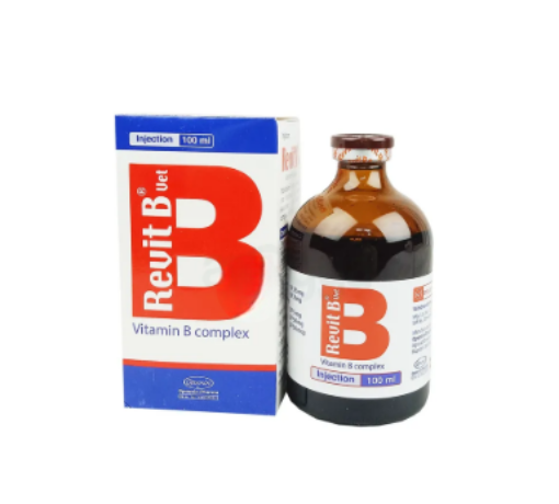Revit B 100 ml Injection