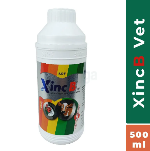 জিঙ্ক বি ভেট ৫০০ মি.লি. এর ছবি