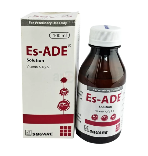 Es ADE Solution এর ছবি